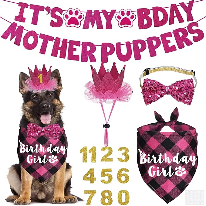 Efficient Dog Birthday Decorations Verified