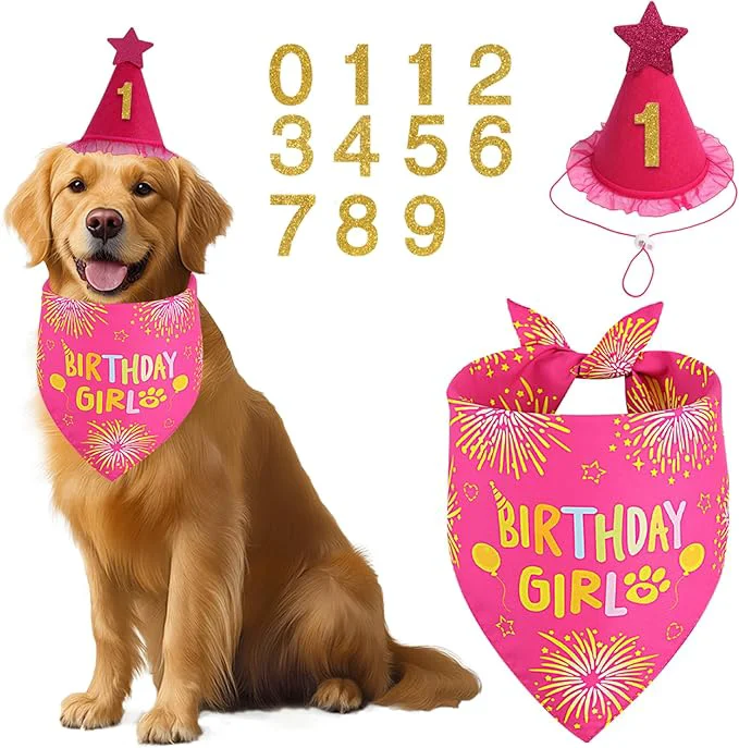 Contemporary Dog Birthday Decorations Rose Pink Dog Birthday Party Supplies Modern