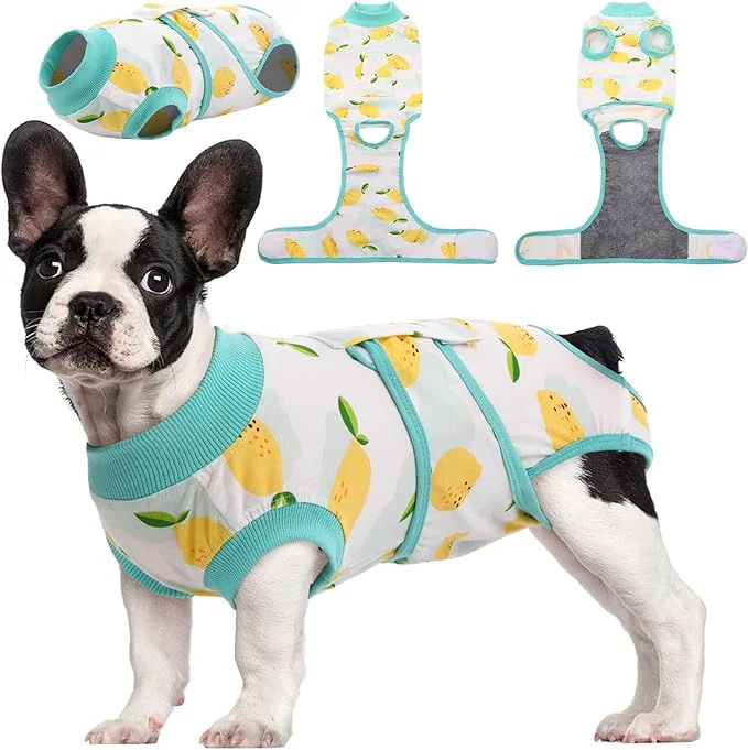 Stylish Kuoser Recovery Suit for Dogs Cats After Surgery Professional Pet Recovery Shirt Dog Abdominal Wounds Bandages Substitute E-Collar Cone Prevent Licking Dog Onesies Pet Surgery Recovery SuitAbout ThisOverview Clean