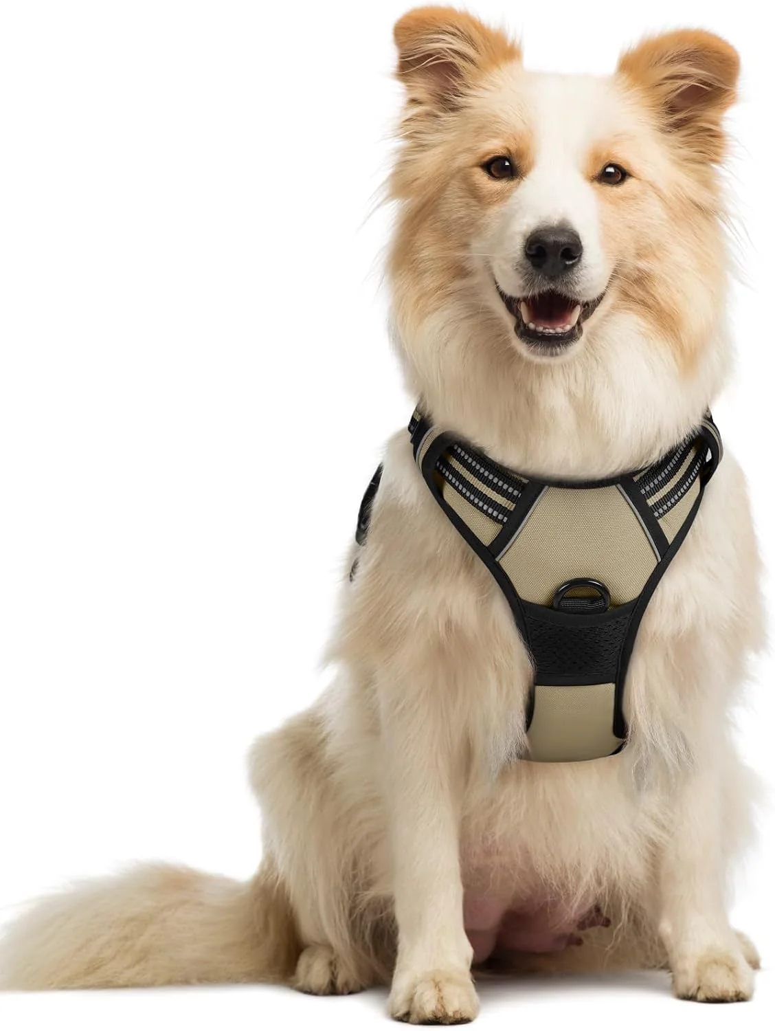 Responsible rabbitgoo Dog Harness No Pull with 2 Leash Clips Adjustable Soft Padded Reflective Oxford No Choke Pet Vest with Easy Control Handle for Medium Sized Dogs Beige M Reliable