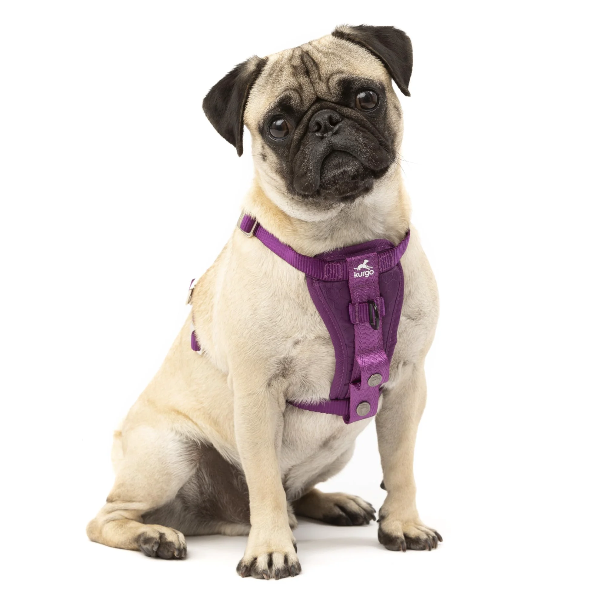 Detailed Kurgo Enhanced Strength Tru-Fit Dog Car Harness – Crash-Test Five-Point Adjustable Padded Chest Deep Violet Small
