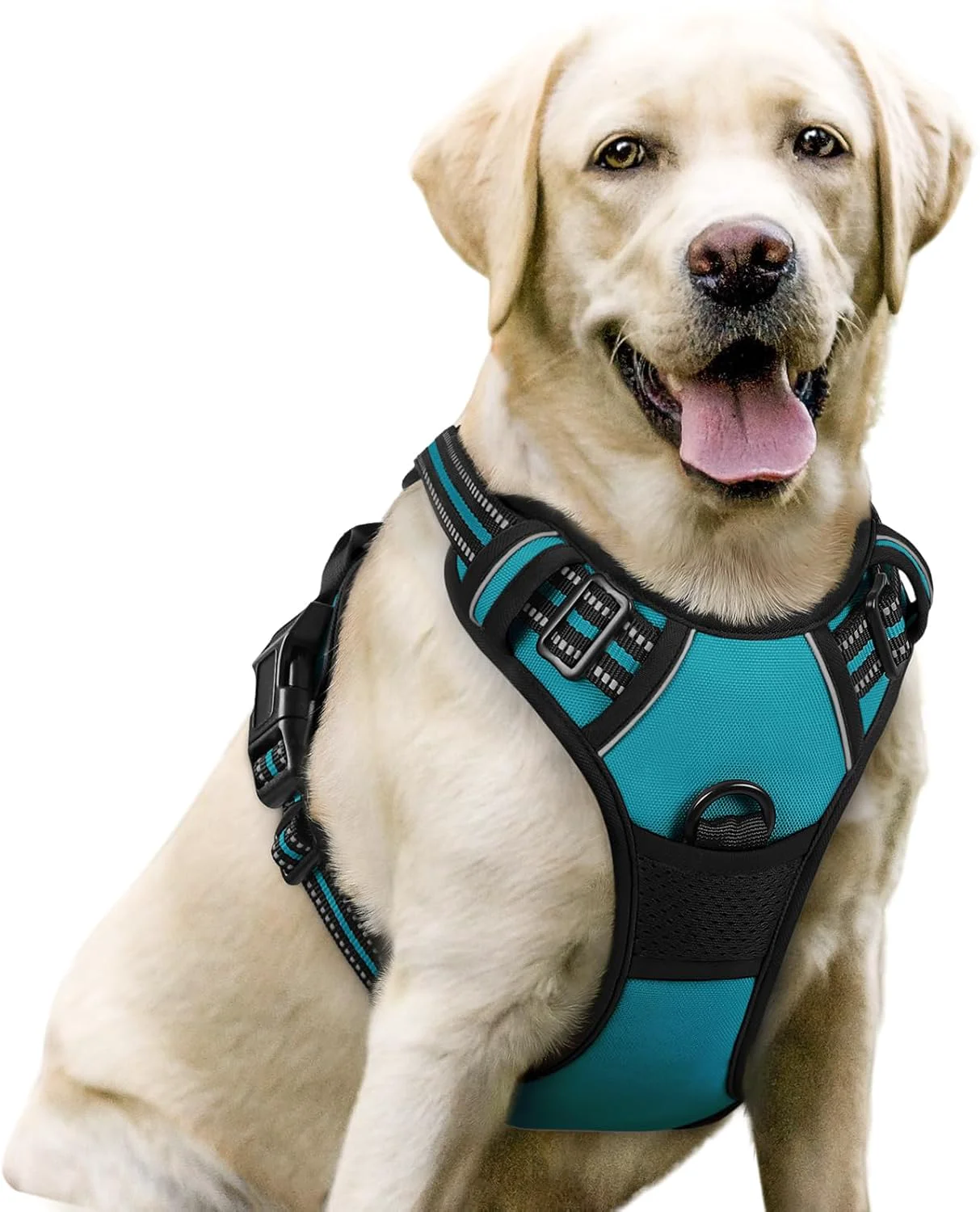 Classic rabbitgoo Dog Harness No Pull with 2 Leash Clips Adjustable Soft Padded Reflective Oxford No Choke Pet Vest with Easy Control Handle for Large Dogs Teal L Clean