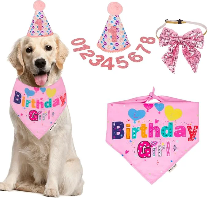 Organic ADOGGYGO Dog Birthday Party Supplies Genuine