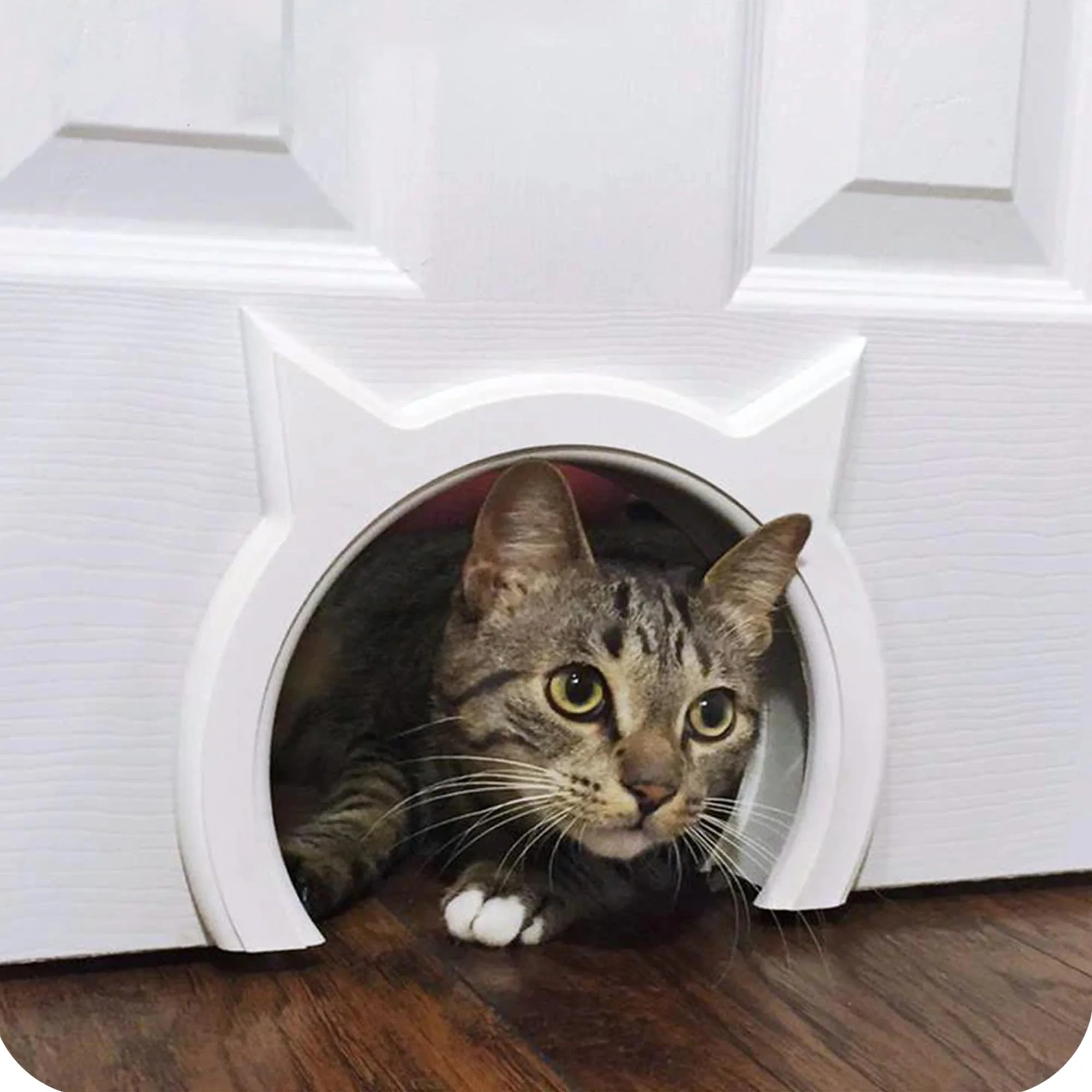 Verified The Kitty Pass Interior Cat Door – Hidden Litter Box Access for Cats up to 21 lbs Safe