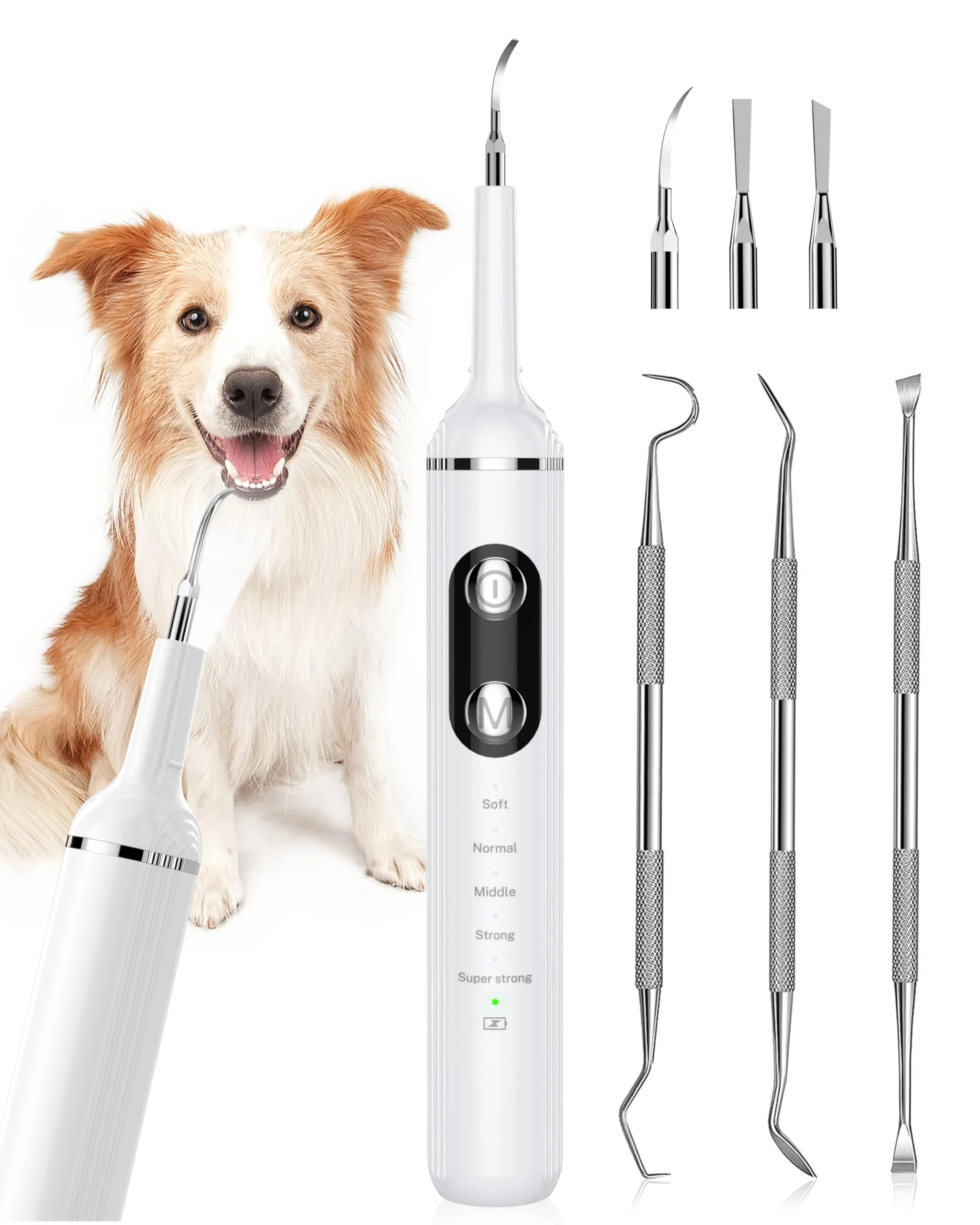 Specialty Nature Nerds Plaque Remover for Teeth – Pet Toothbrush Kit with LED Light White Safe for Dogs Cats Quality