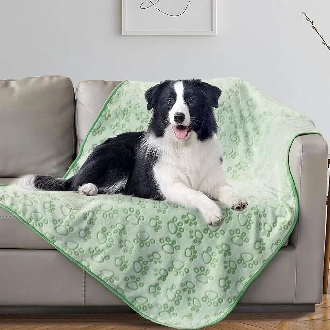Detailed Stuffed Premium Green Soft Dog Blanket Superior
