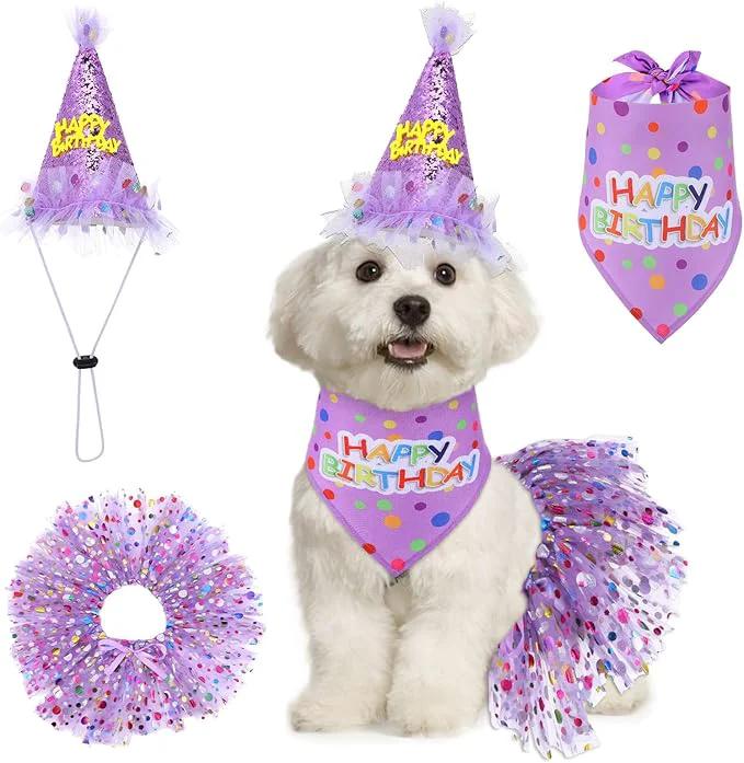 Modern Dog Birthday Bandana with Hat and Dress Girl Set Puppy Birthday Party Supplies Elegant