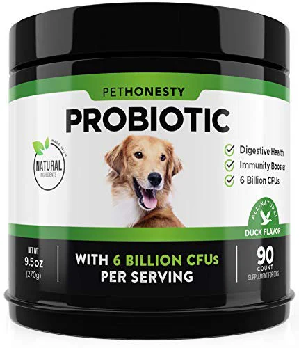 Reusable Pet Honesty Probiotics for Dogs - Digestive Enzymes Gut Immune Support Duck Flavor 90 ct Premium