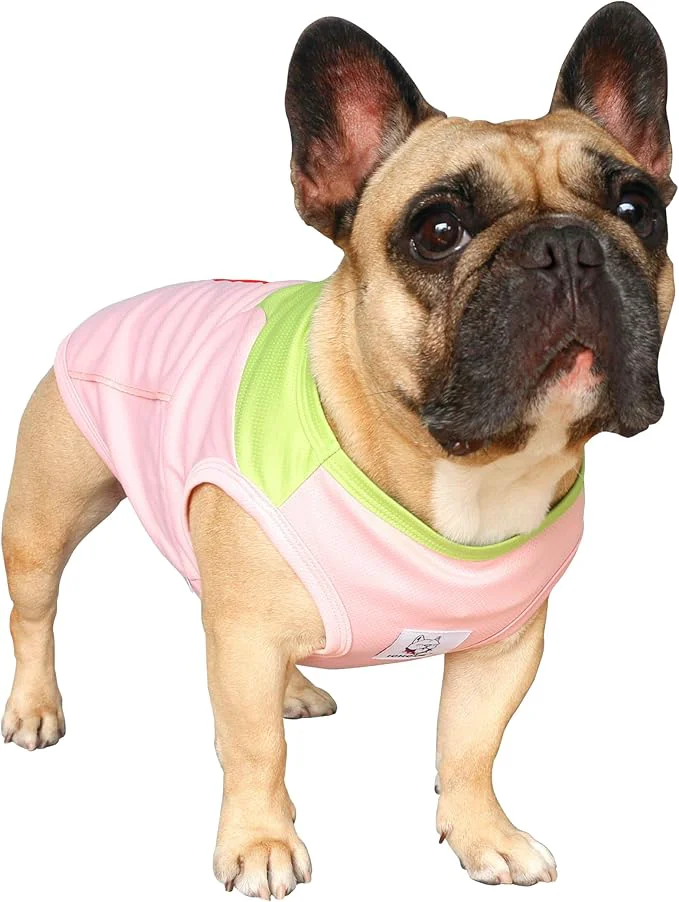 Trendy iChoue French Bulldog Summer Cooling Shirt for Dogs UV Sun Protection Vest Sleeveless Breathable Tank Top English Pug Pink Green - XXLargeAbout ThisOverview Outstanding