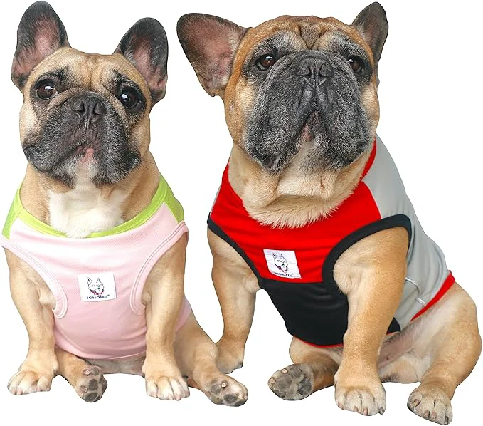 Comfortable iChoue 2pcs French Bulldog Summer Cooling Shirt for Dogs UV Sun Protection Vest Sleeveless Breathable Tank Top English Pug Pink Green Red Grey - MediumAbout ThisOverview Relaxed