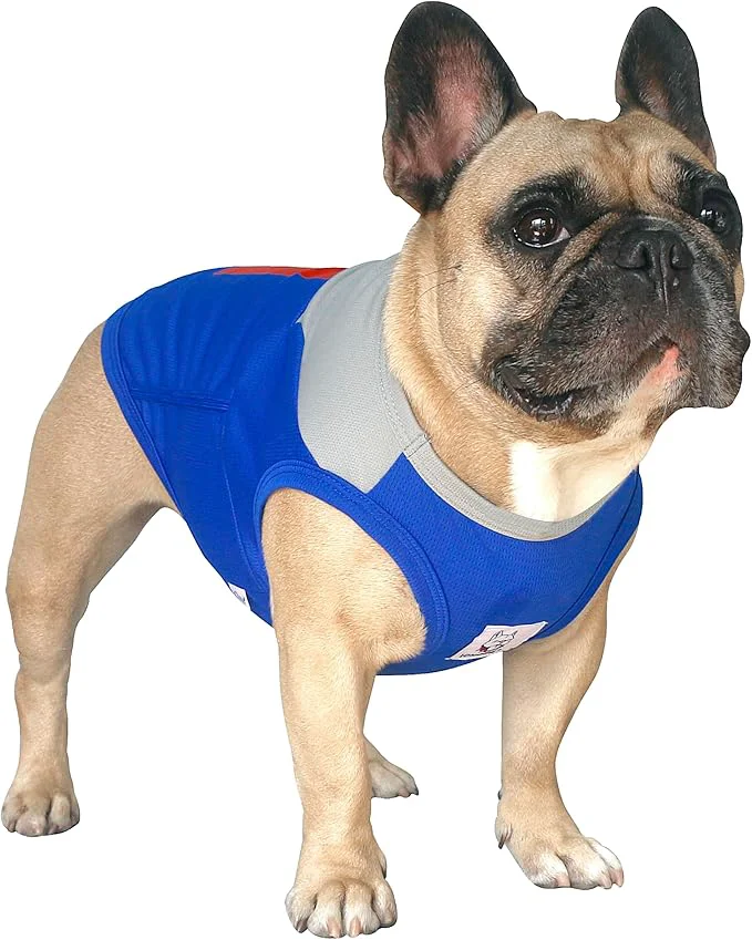 Certified iChoue French Bulldog Summer Cooling Shirt for Dogs UV Sun Protection Vest Sleeveless Stretchy Tank Top English Pug Grey Blue - XLargeAbout ThisOverview Green