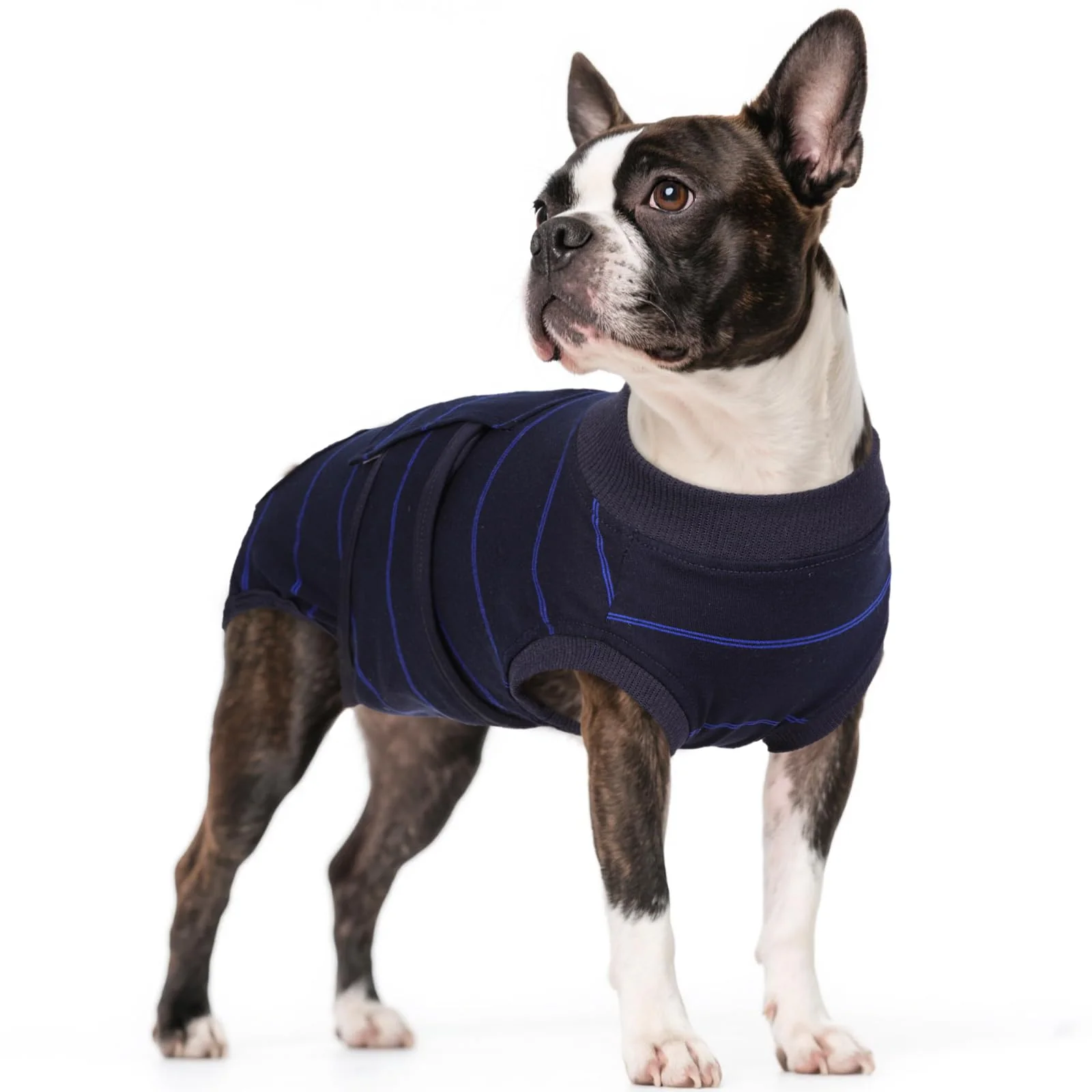 Smooth Kuoser Dog Surgery Recovery Suit - Soft Breathable Recovery Onesie Blue Stripes Size S Stylish