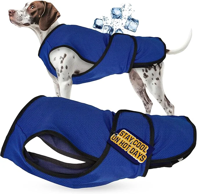 Contemporary Dog Cooling Vest – Lightweight Jacket for Dogs with Zip Neck Velcro – Easy On Off Cooling Coat for Walks Travel Outdoors - XXLAbout ThisOverview Smooth
