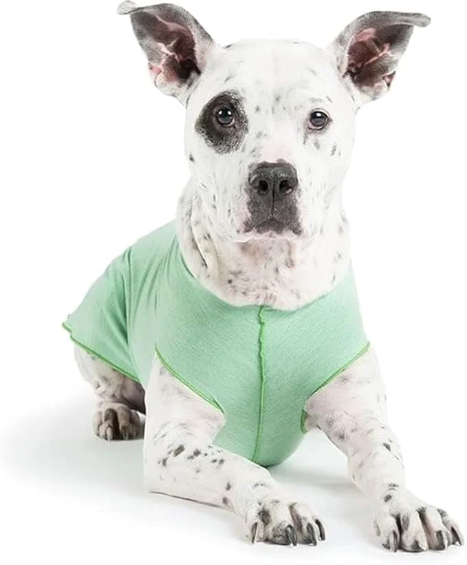 Efficient Goldpaw Dog Sun Shirt with UV Protection - Lightweight Cooling Sun Protection Clothing for Dogs - Reduce Heat Absorption - Pet Clothes Made in The USA - Machine Washable - Pistachio Green - Size 16About ThisOverview Innovative