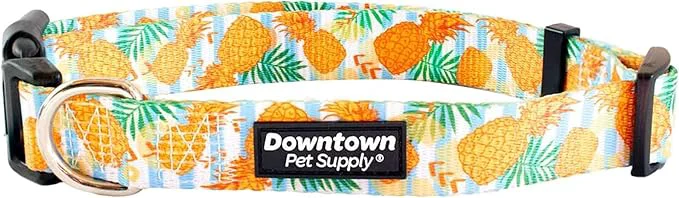 Natural Downtown Pet Supply Artisan