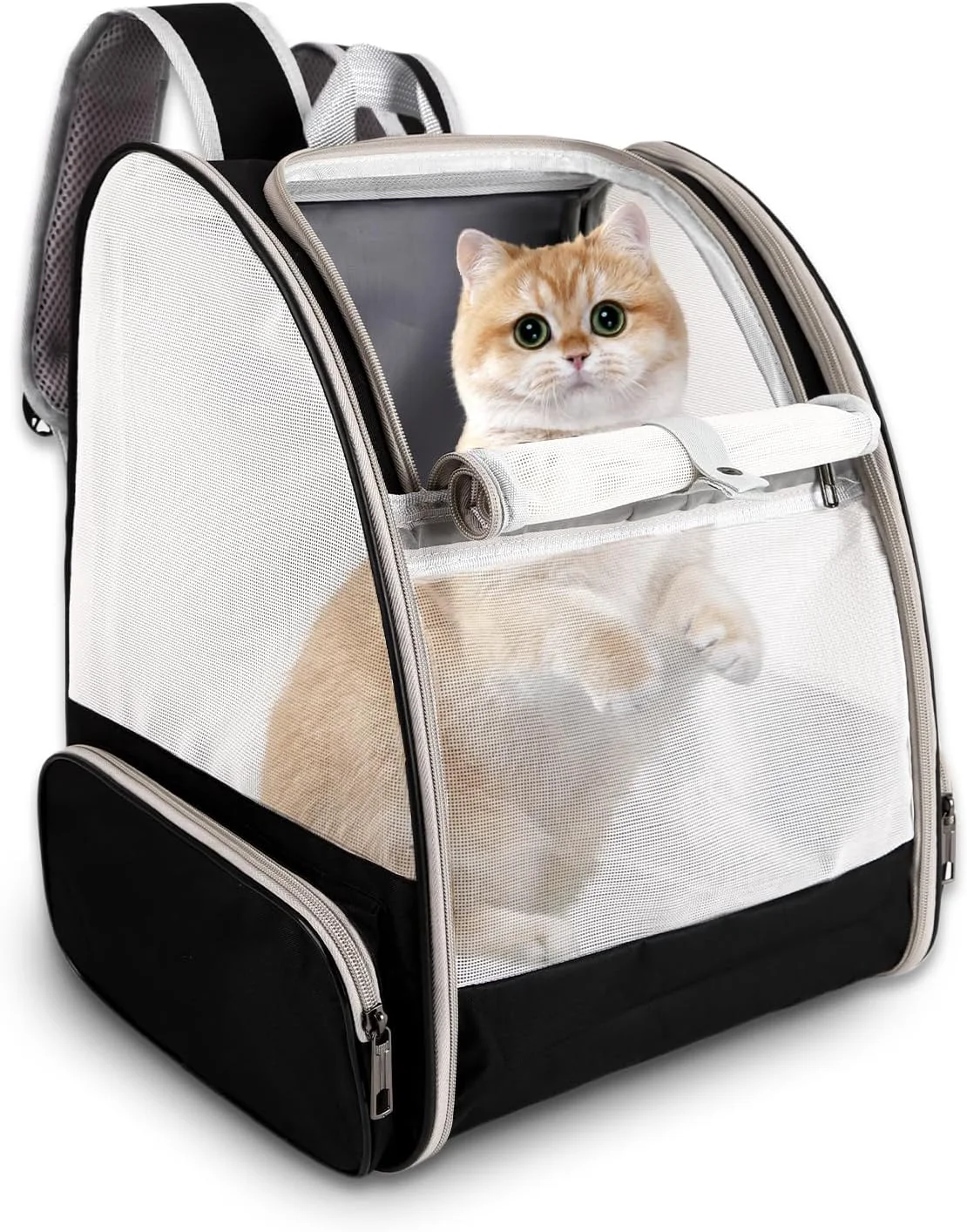 Clean Cat Backpack Carrier Pet Carrier Airline for Small Dog Cat Puppy Kitten Bunny Ventilated Mesh Design Animal Backpack for Hiking Camping Travel Bag Black Environmentally Friendly
