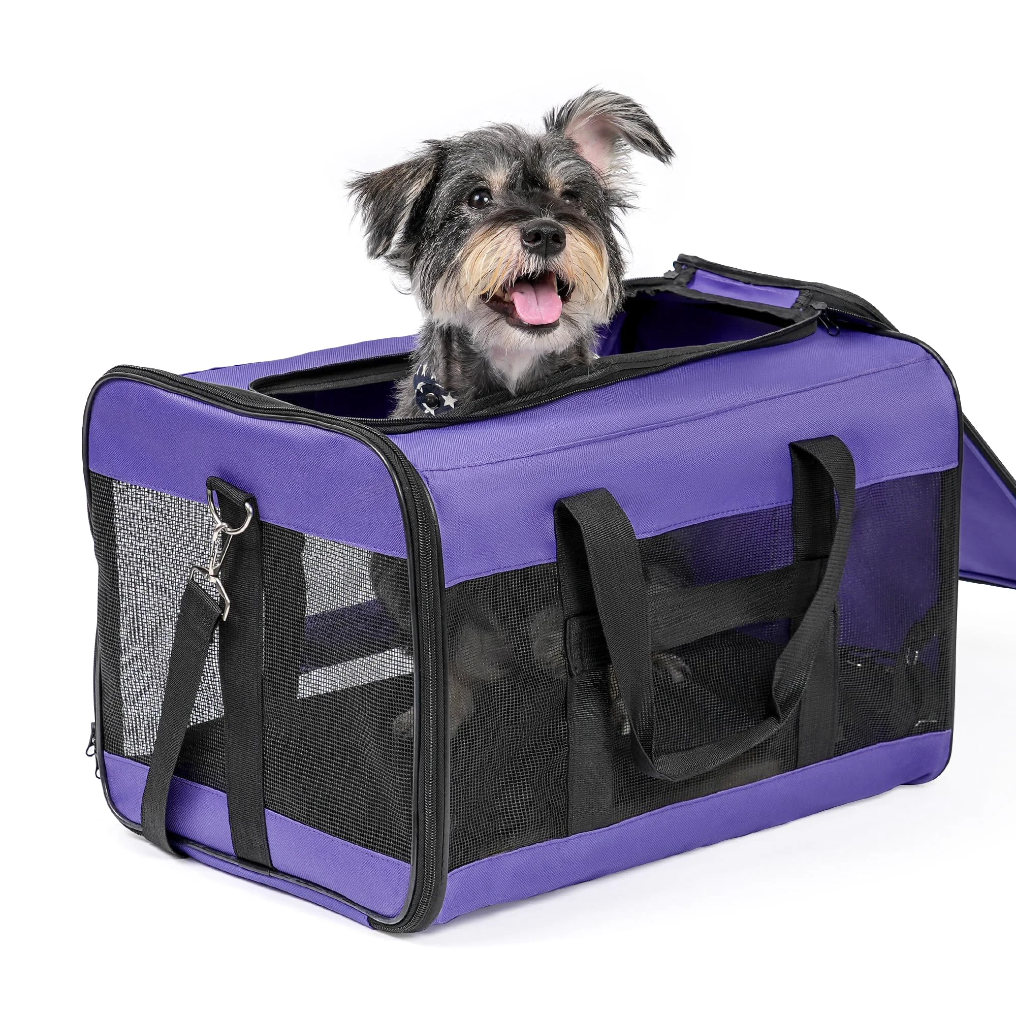 Outstanding Conlun Soft Sided Dog Carrier – Large Cat Carrier with Inner Safety Leash Collapsible Travel Bag Purple up to 20 lbs Effective