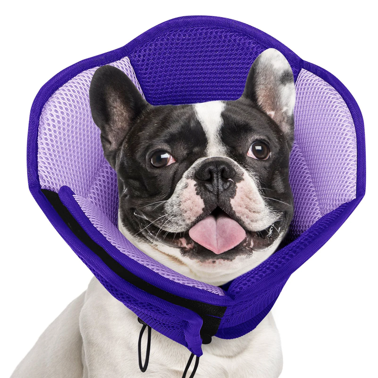 Sustainable AOFITEE Dog Cone - Soft Adjustable Recovery Collar for Medium Dogs Purple Fashionable
