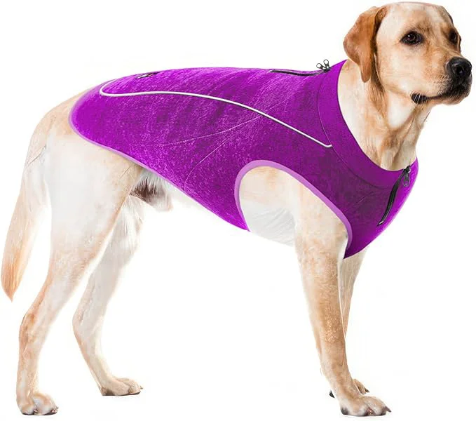 Smart Insulated Fleece Sweater for Dogs Lightweight Warm Dog Vest Zipper Port for Harness Cold Weather Winter Jacket Rain Snow Repellant Coat Adjustable for Small Medium Large Girl Dogs Purple L About ThisOverview Stylish