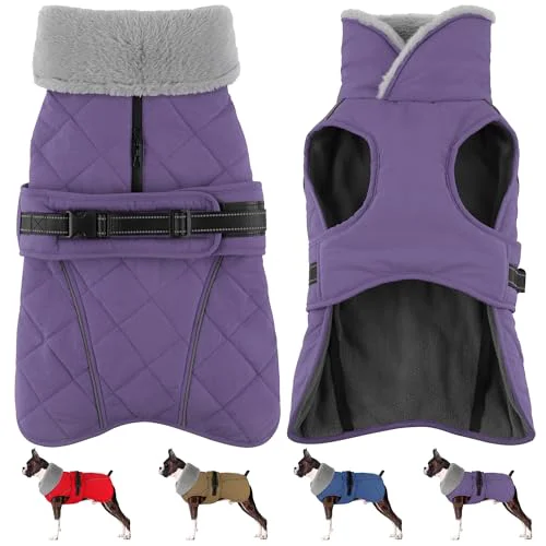 Specialty Petglad Waterproof Dog Coat Reflective Turtleneck Winter Jacket — Purple Size S First-Class