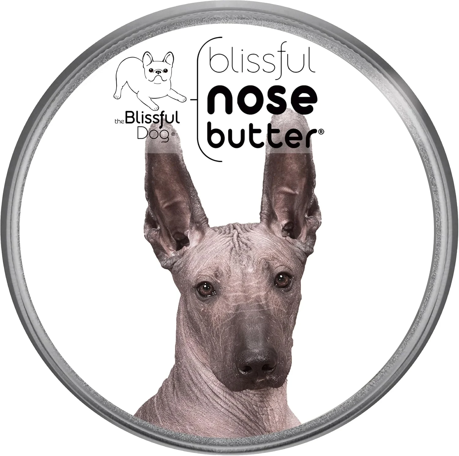 Effective The Blissful Dog Xoloitzcuintli Nose Butter for Dry Cracked Skin Lick-Safe Dog Nose Balm with Moisturizing Shea Butter Almond Olive and Essential Oils Pet Supplies Uncented 4 oz. Trusted