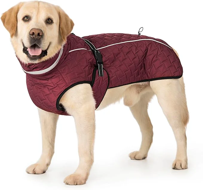 Authentic Dog Winter Coat for Small Medium Dogs Reflective Dog Winter Jacket Thick Fleece Snowsuit Christmas Vest Warm Water-Resistant Puppy Coat Small Doggie Jackets for Cold WeatherAbout ThisOverview Secure