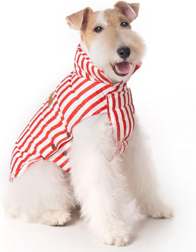 Expertly Made SPACE LION Dog Puffer Jacket Down Winter Coat Durable Outdoor Coat for Cold and Windy Conditions Lightweight Adjustable Fit Coats for Medium Dogs RedStripe Size 14 Gift Box About ThisOverview User-Friendly