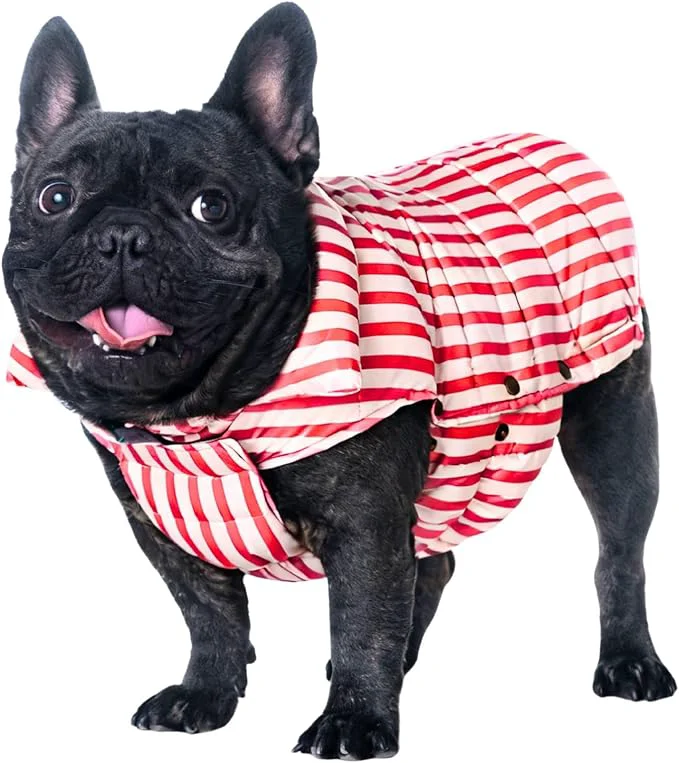 Sustainable SPACE LION Dog Puffer Jacket Down Winter Coat Durable Outdoor Coat for Cold and Windy Conditions Waterproof Lightweight Jacket Adjustable Fit for Small Medium Large Dogs RedStripe Size20 XL About ThisOverview Solid