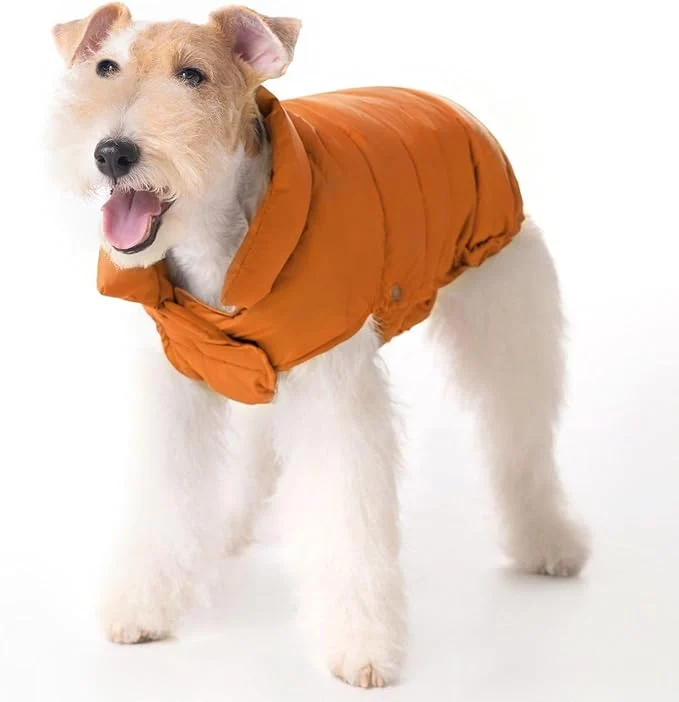Top-Quality SPACE LION Dog Puffer Jacket Down Winter Coat Durable Outdoor Coat for Cold and Windy Conditions Lightweight Adjustable Fit Coats for Medium Dogs Orange Size 14 Gift Box About ThisOverview Eco-Friendly