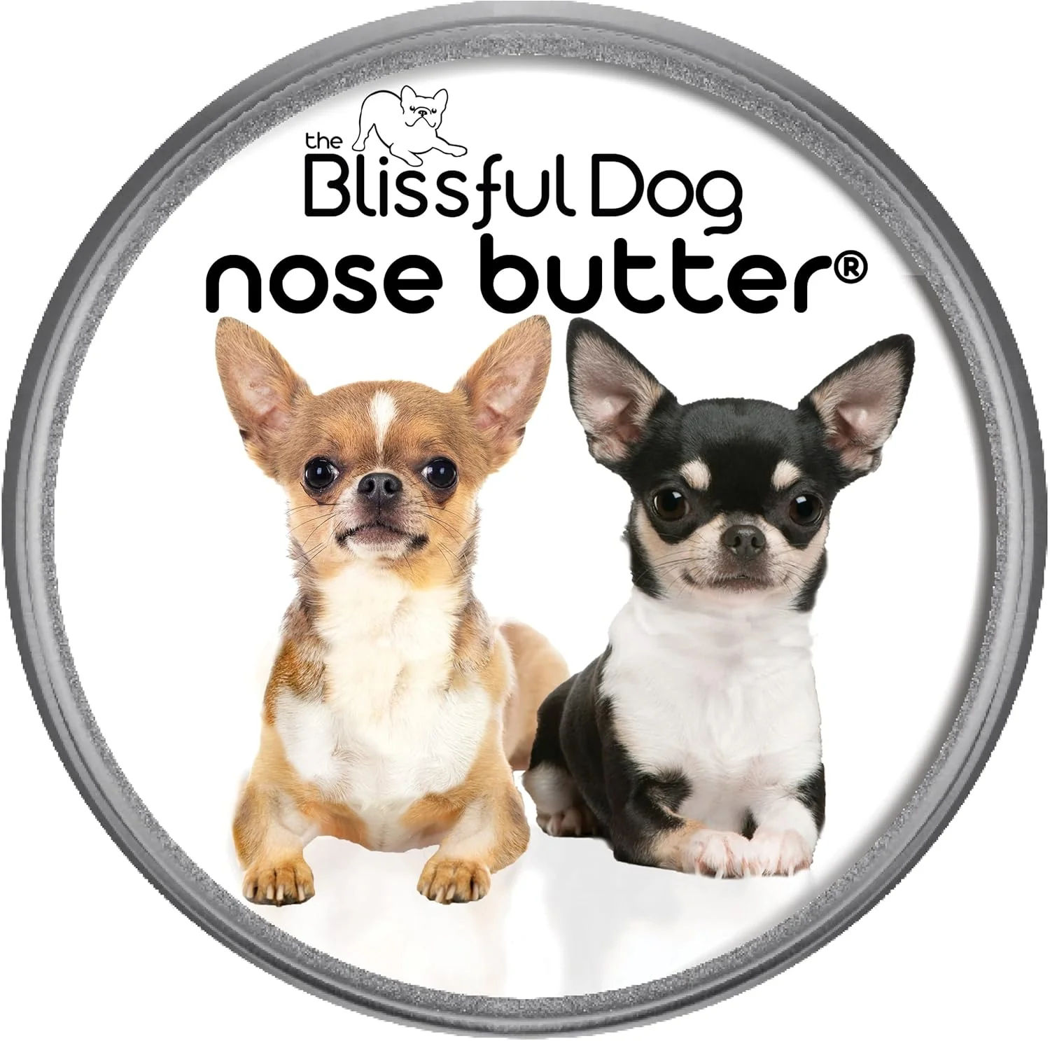 Trendy The Blissful Dog Smooth Coat Chihuahua Nose Butter for Dry Cracked Skin Lick-Safe Dog Nose Balm with Moisturizing Shea Butter Almond Olive and Essential Oils Pet Supplies Uncented 4 oz. Secure