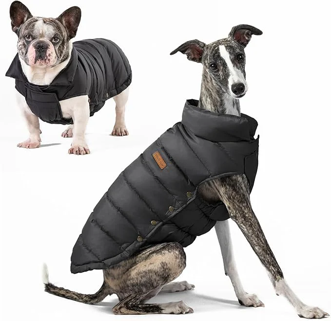 Casual SPACE LION Dog Puffer Jacket Down Winter Coat Durable Outdoor Coat for Cold and Windy Conditions Lightweight Adjustable Fit Coats for Small Medium Dogs Black Size12 M About ThisOverview Prestigious