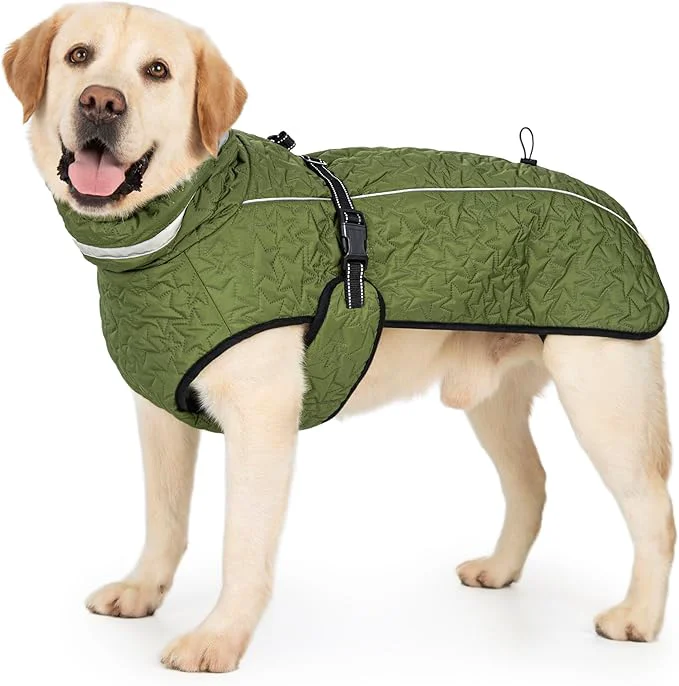 Trusted Dog Winter Coat for Small Medium Dogs Reflective Dog Winter Jacket Thick Fleece Snowsuit Christmas Vest Warm Water-Resistant Puppy Coat Small Doggie Jackets for Cold WeatherAbout ThisOverview Advanced