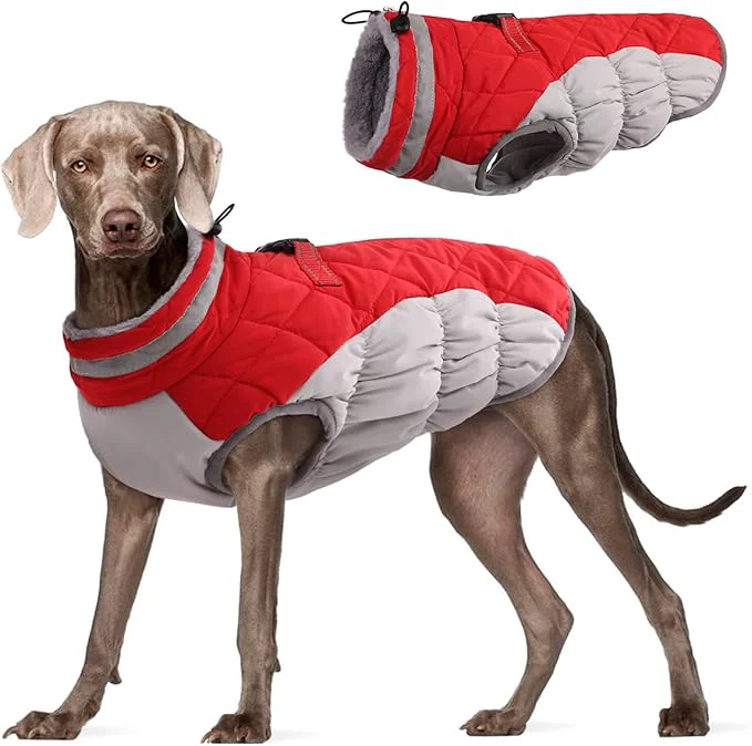Advanced FUAMEY Dog Coat for Large Dogs Waterproof Dog Winter Jacket with Harness Built in Puppy Cold Weather Coats Reflective Pet Vest with Zipper Warm Fleece Dogs Snowsuit Windproof Red LAbout ThisOverview Natural