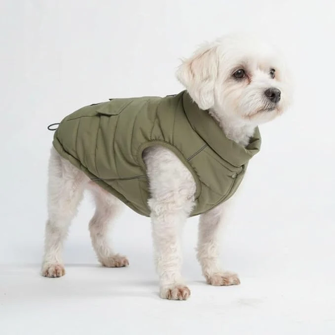 Solid Spark Paws Dog Winter Jacket Water-Resistant Coat Warm Reflective Windproof Fleece-Interior for Medium and Large Dogs - Olive - MAbout ThisOverview Elite