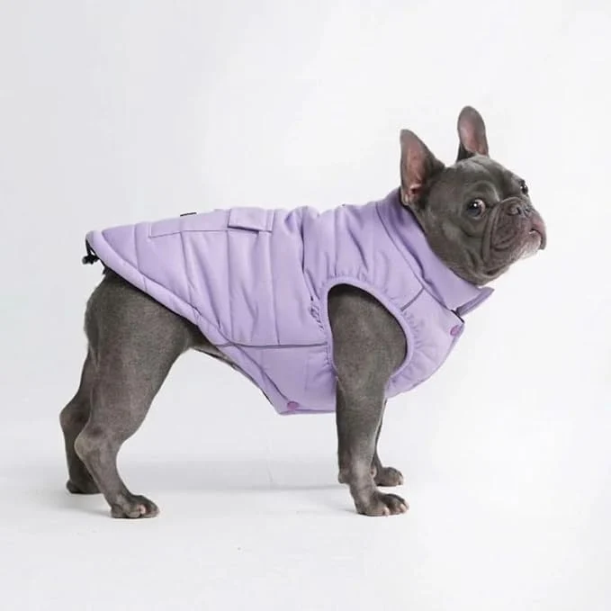 Versatile Spark Paws Dog Winter Jacket Water-Resistant Coat Warm Reflective Windproof Fleece-Interior for Medium and Large Dogs - Lilac - XLAbout ThisOverview Expertly Made