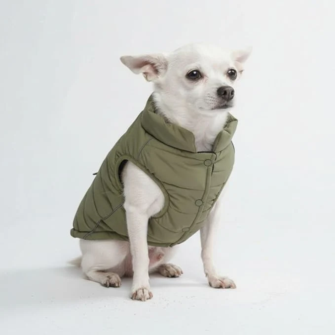Fine Spark Paws Dog Winter Jacket Water-Resistant Coat Warm Reflective Windproof Fleece-Interior for Medium and Large Dogs - Olive - SAbout ThisOverview Effective