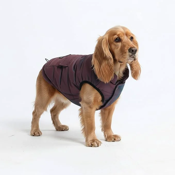 Verified Spark Paws Dog Winter Jacket Water-Resistant Coat Warm Reflective Windproof Fleece-Interior for Medium and Large Dogs - Cosmic - LAbout ThisOverview Top-Quality