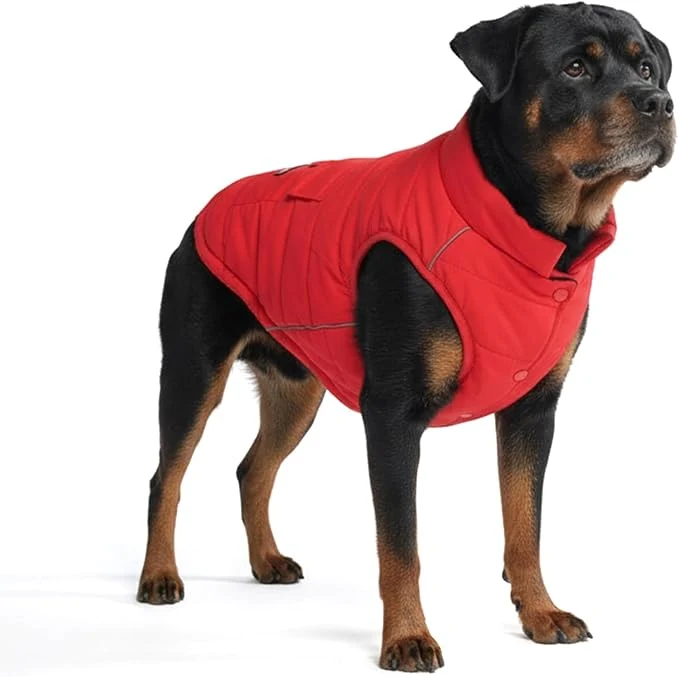 Modern Spark Paws Dog Winter Jacket Water-Resistant Coat Warm Reflective Windproof Fleece-Interior for Medium and Large Dogs - Red - 4XLAbout ThisOverview Exclusive