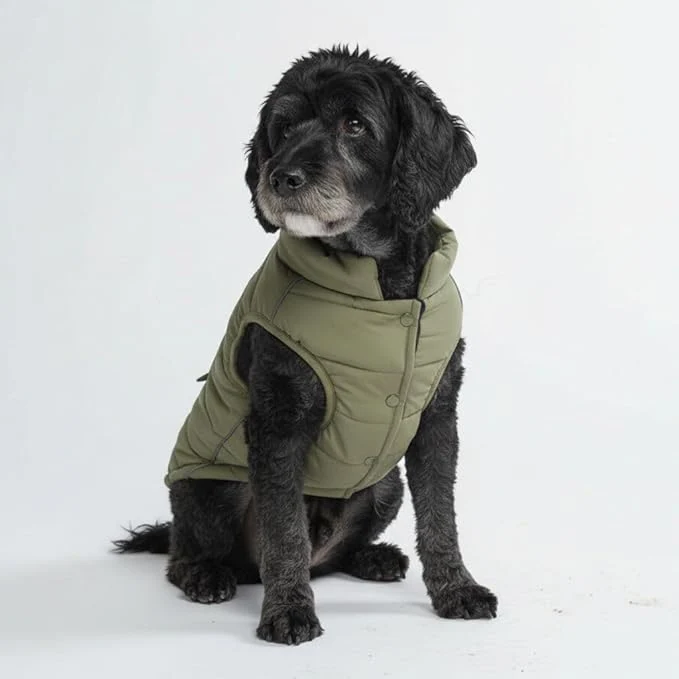 Next-Generation Spark Paws Dog Winter Jacket Water-Resistant Coat Warm Reflective Windproof Fleece-Interior for Medium and Large Dogs - Olive - LAbout ThisOverview Minimalist
