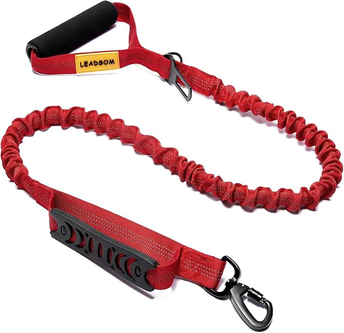 6FT Highly Reflective Heavy Duty Elastic Bungee Medium and Large Dog Leash Shock Absorbing with Comfortable Padded Handle and Traffic Handle Suitable for Training RedAbout ThisOverview Sophisticated