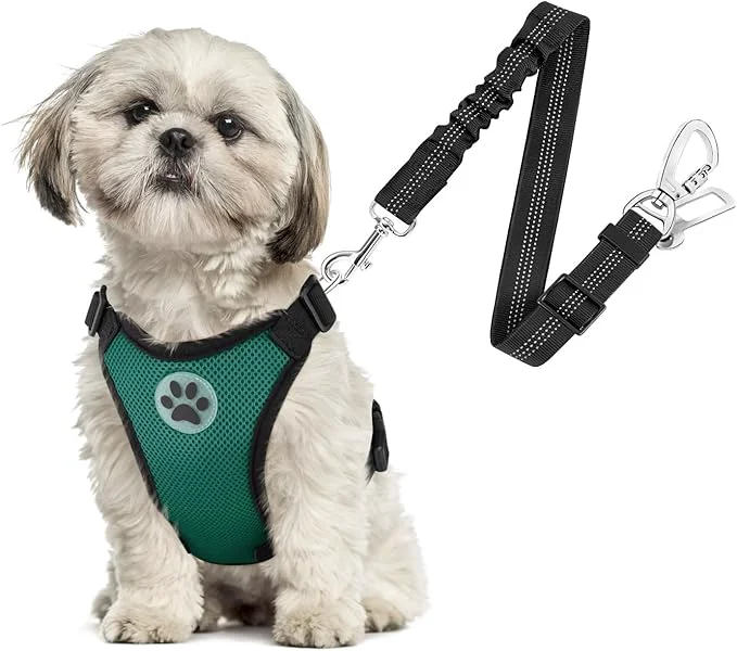 High-End SlowTon Dog Seat Belt Harness for Car Dog Car Harness Adjustable Mesh Breathable Dog Seatbelt Safety Tether with Elastic Bungee for Small Medium Large Pets Green Double Clip XS About ThisOverview High-Quality