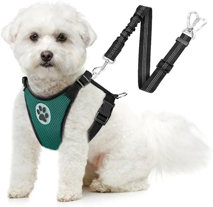 Flexible SlowTon Dog Seat Belt Harness for Car Dog Car Harness Adjustable Mesh Breathable Dog Seatbelt Safety Tether with Elastic Bungee for Small Medium Large Pets Green Double Clip XXXS About ThisOverview World-Class