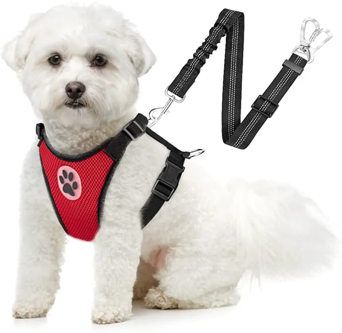 Functional SlowTon Dog Seat Belt Harness for Car Dog Car Harness Adjustable Mesh Breathable Dog Seatbelt Safety Tether with Elastic Bungee for Small Medium Large Pets Red Double Clip XXS About ThisOverview First-Class
