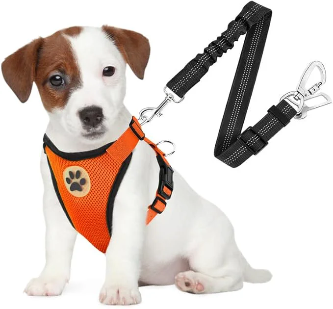 Prestigious SlowTon Dog Seat Belt Harness for Car Dog Car Harness Adjustable Mesh Breathable Dog Seatbelt Safety Tether with Elastic Bungee for Small Medium Large Pets Orange Double Clip S About ThisOverview