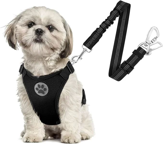 Relaxed SlowTon Dog Seat Belt Harness for Car Dog Car Harness Adjustable Mesh Breathable Dog Seatbelt Safety Tether with Elastic Bungee for Small Medium Large Pets Black Double Clip XS About ThisOverview Lightweight