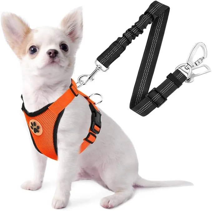 Dependable SlowTon Dog Seat Belt Harness for Car Dog Car Harness Adjustable Mesh Breathable Dog Seatbelt Safety Tether with Elastic Bungee for Small Medium Large Pets Orange Double Clip XXS About ThisOverview Optimized