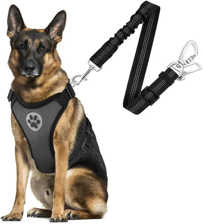 Smart SlowTon Dog Seat Belt Harness for Car Dog Car Harness Adjustable Mesh Breathable Dog Seatbelt Safety Tether with Elastic Bungee for Small Medium Large Pets Grey Double Clip L About ThisOverview Lightweight
