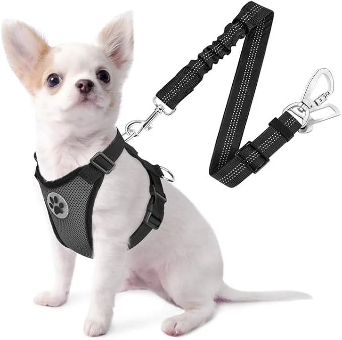 Superior SlowTon Dog Seat Belt Harness for Car Dog Car Harness Adjustable Mesh Breathable Dog Seatbelt Safety Tether with Elastic Bungee for Small Medium Large Pets Grey Double Clip XXS About ThisOverview Certified