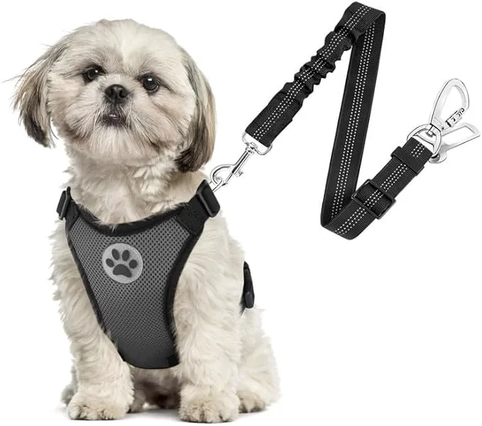 Certified SlowTon Dog Seat Belt Harness for Car Dog Car Harness Adjustable Mesh Breathable Dog Seatbelt Safety Tether with Elastic Bungee for Small Medium Large Pets Grey Double Clip XS About ThisOverview Top-Quality