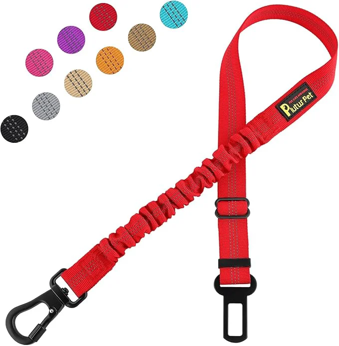 Innovative Plutus Pet Dog Seat Belt for Car Adjustable Dog Car Harness with Carabiner Clip Reflective Safety Dog Seatbelt Leash with Elastic Bungee RedAbout ThisOverview User-Friendly